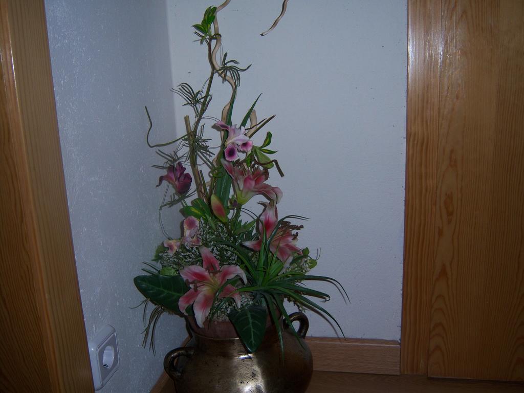 Casa Rogel Guest House Llesuy Luaran gambar